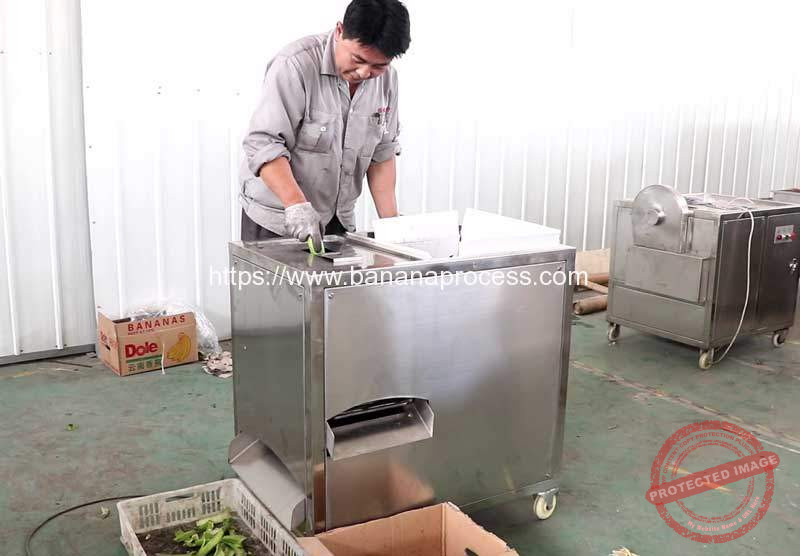 Green-Banana-Peeling-Machine-for-Puerto-Rico-Customer